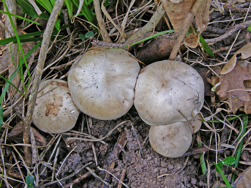 Ritrovamenti venerd� 20 aprile.